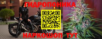 прущая мука Моздок