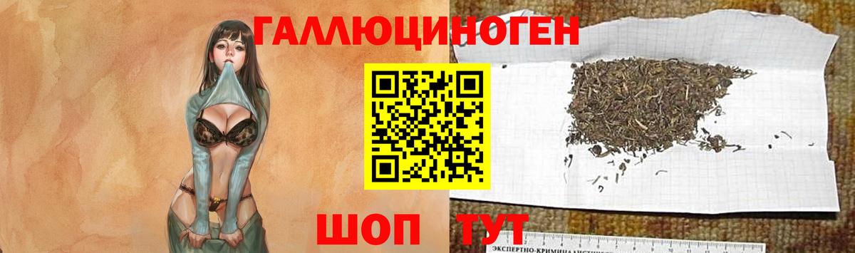 Аксай  Псилоцибиновые грибы ЛСД  Вход с VPN 