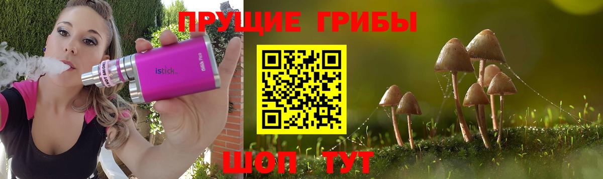 Псилоцибиновые грибы Psilocybine cubensis Аксай